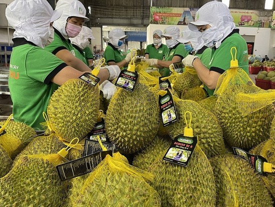 Tiềm năng xuất khẩu hàng rau quả trong năm 2023 rất khả quan