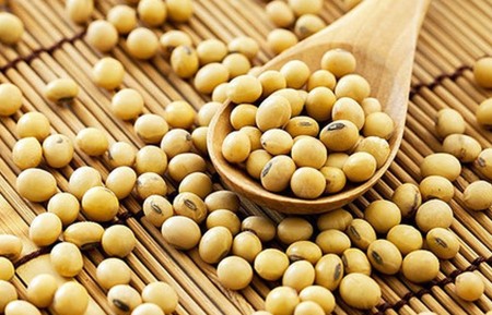 gia dau tuong giam nhe dau dau tuong bien dong manh