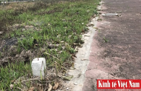 Thủ tướng Chính phủ chỉ đạo: Thanh tra, xử nghiêm việc cấp tín dụng cho doanh nghiệp "sân sau"