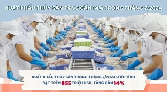 Infographic | Xuất khẩu thủy sản tăng trưởng khởi sắc trong tháng 7/2024