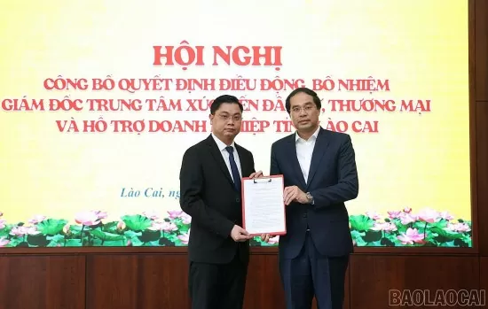 Tin nhân sự 3/3: Công tác cán bộ tại ba tỉnh Lào Cai, Lạng Sơn, Hà Nam