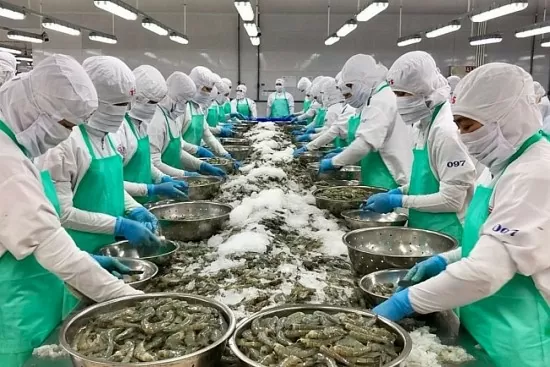 Xuất khẩu tôm tăng 30,8% so với cùng kỳ