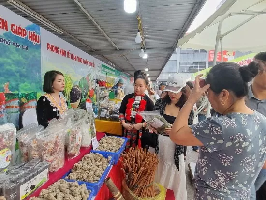 Yên Bái ‘mở lối’ cho hàng hóa vùng cao vươn xa