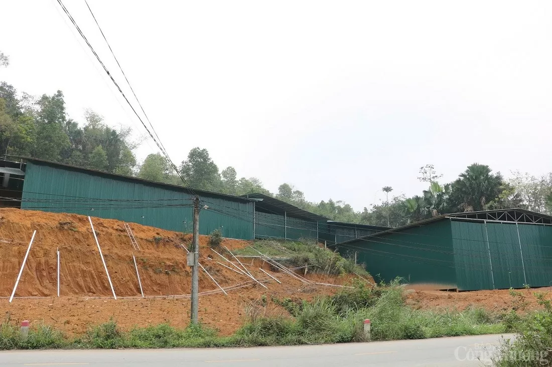 Tận thấy loạt công trình trục lợi trên dự án 500 kV Sớm xử lý trục lợi trên dự án đường dây 500kV Lào Cai - Vĩnh Yên