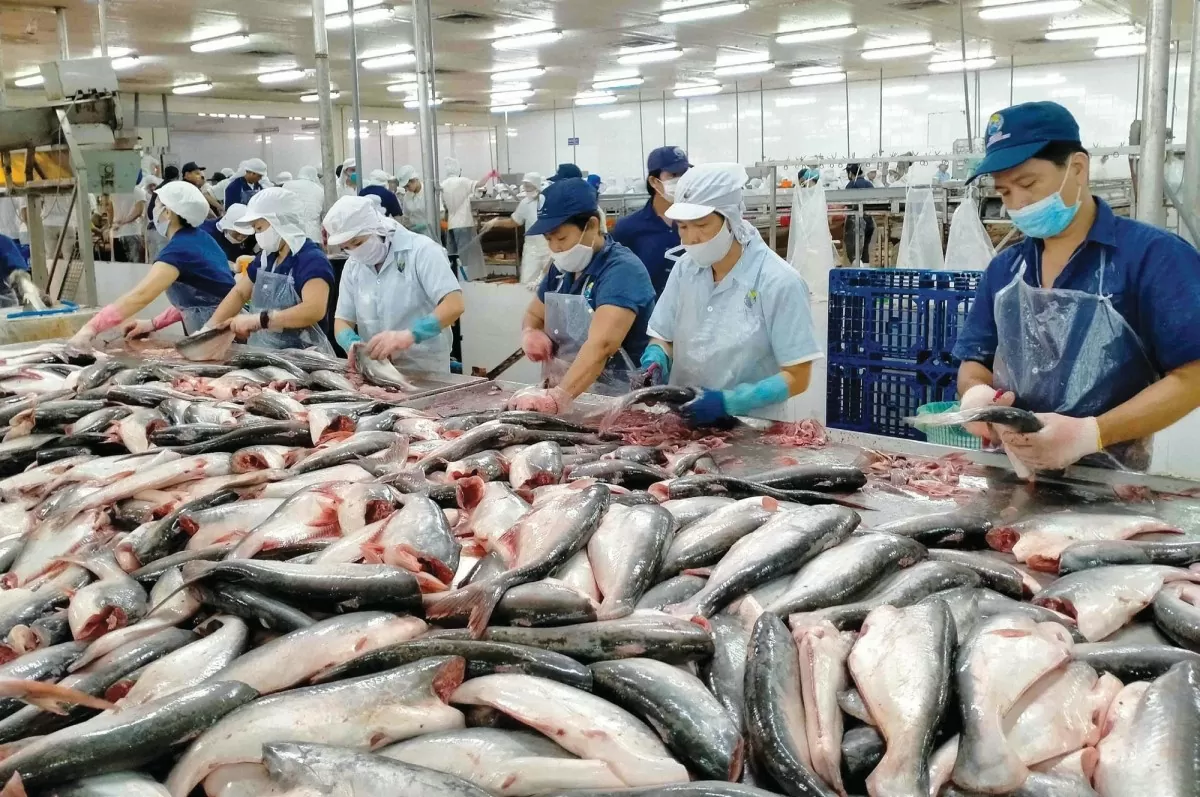 5 tháng, xuất khẩu thủy sản thu về 4,11 tỷ USD