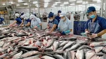 Lần đầu tiên Việt Nam lọt top 4 đối tác lớn nhất xuất khẩu thủy sản vào Singapore