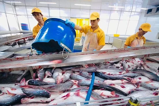 Xuất khẩu cá tra tăng trưởng, thị trường đón tín hiệu tốt