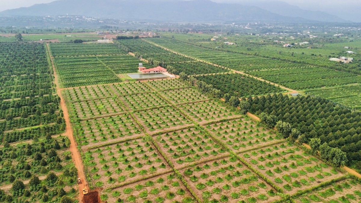 Bài 3: Những bước tiến đáng ghi nhận