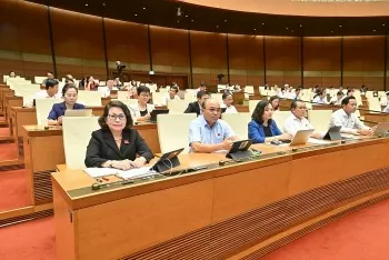 luat dau thau sua doi siet tinh trang nha thau bo gia thap bat thuong