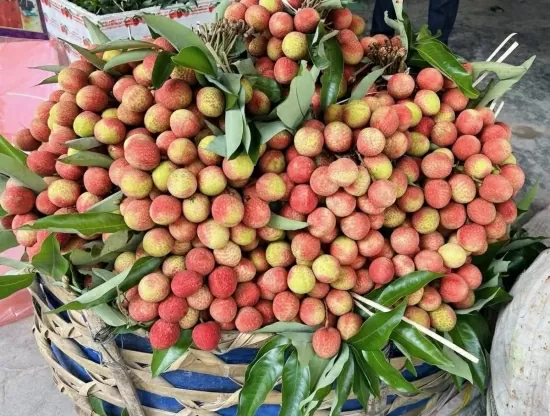 Vải u đầu mùa giá cao vẫn hút khách