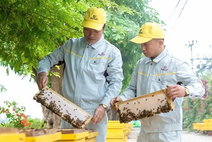 Thương hiệu sản phẩm OCOP: Niềm tin người dùng nông thôn mới