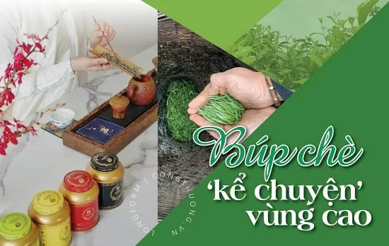 Longform | Búp chè ‘kể chuyện’ vùng cao