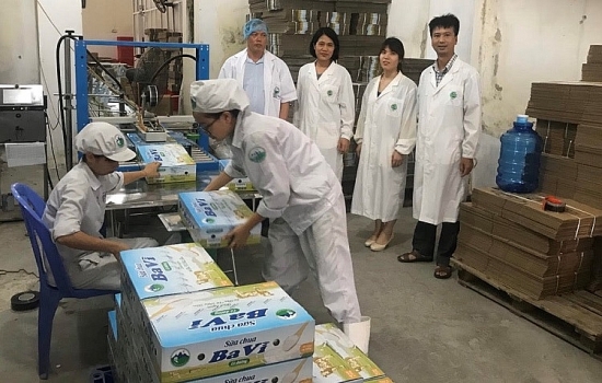 Lần đầu tiên Việt Nam sản xuất được đường trehalose từ tinh bột sắn