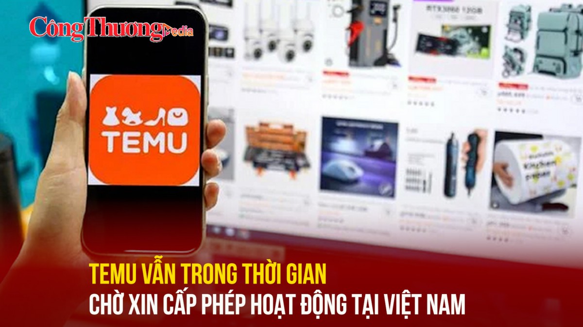 Temu vẫn trong thời gian chờ xin cấp phép hoạt động tại Việt Nam
